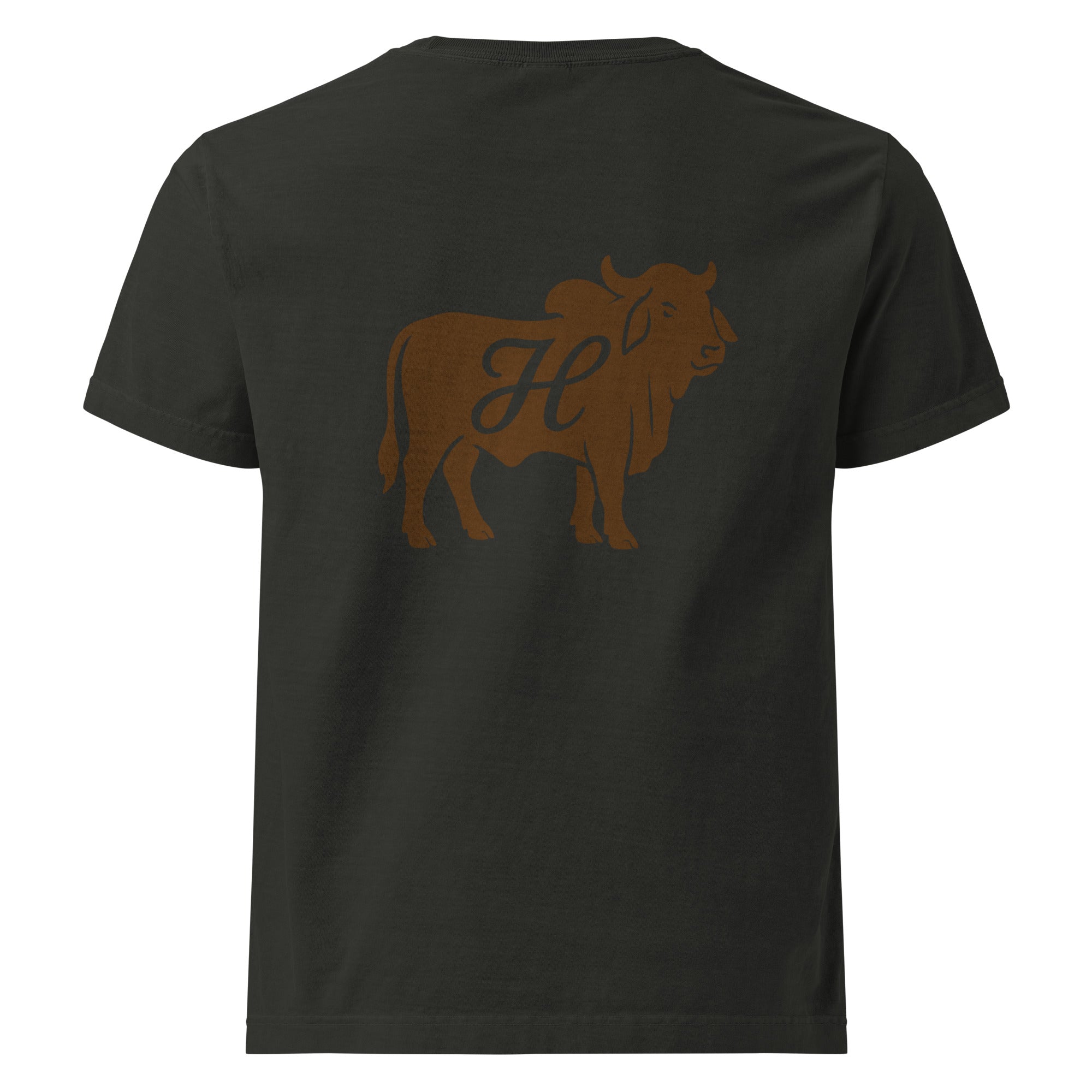 Huixtitla Ranch Brahman Unisex Oversized T-shirt